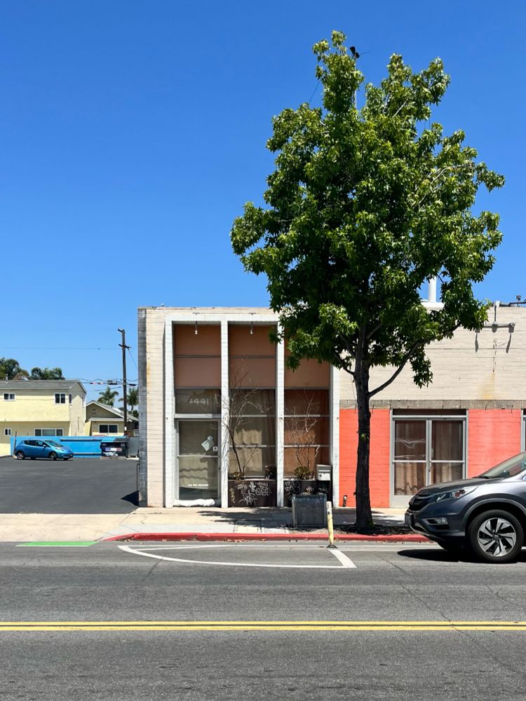 A sun-faded building with a tree out front