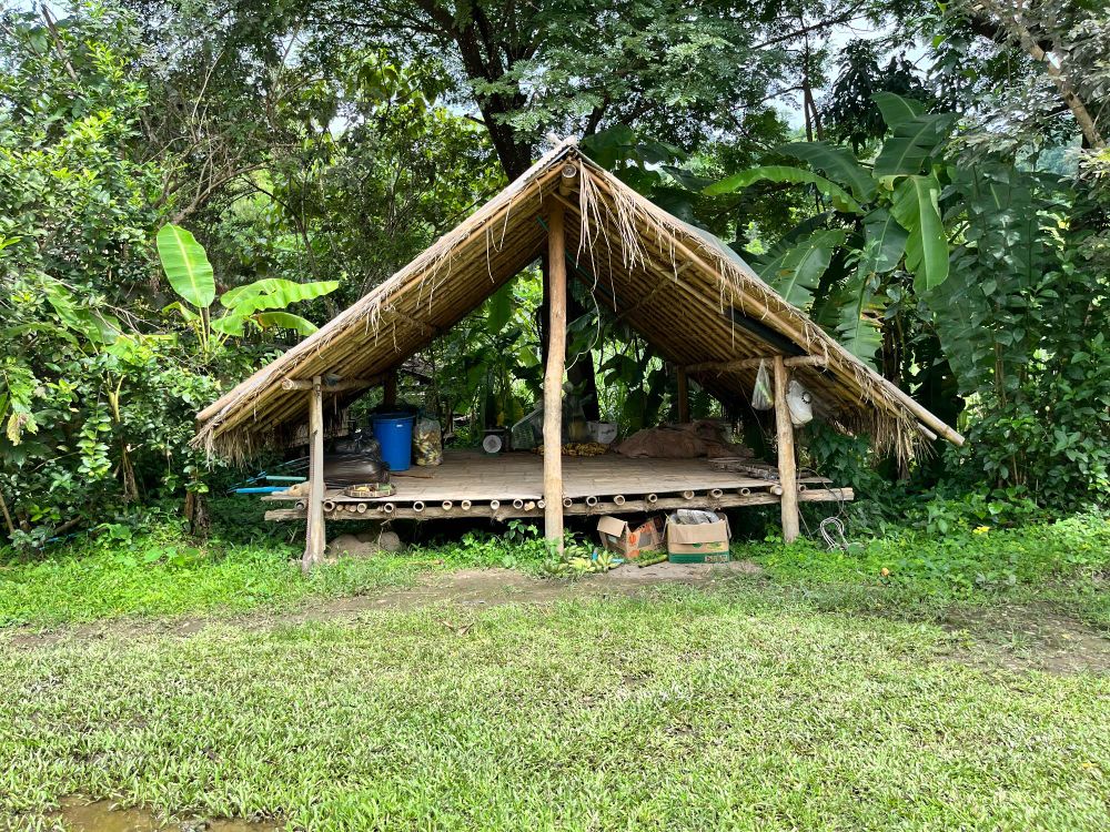 A small hut in the jungle 
