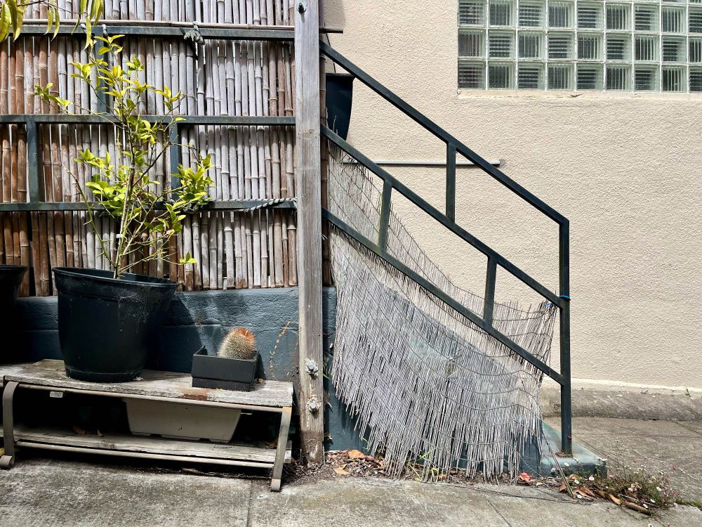 A stoop in an alley with potted plants 