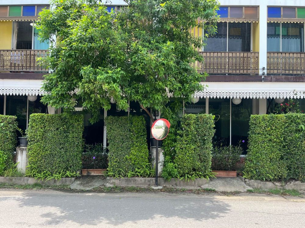 Neatly cut shrubs in front of an apartment building with a mirror for oncoming traffic 