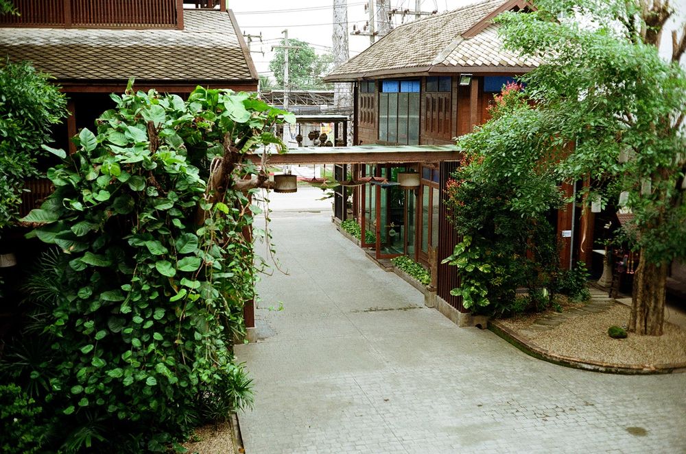 The paved entrance to a building with lush green plants and trees 