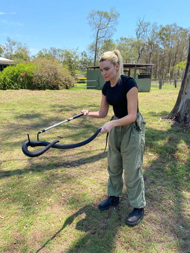 Snake handling in a paddock