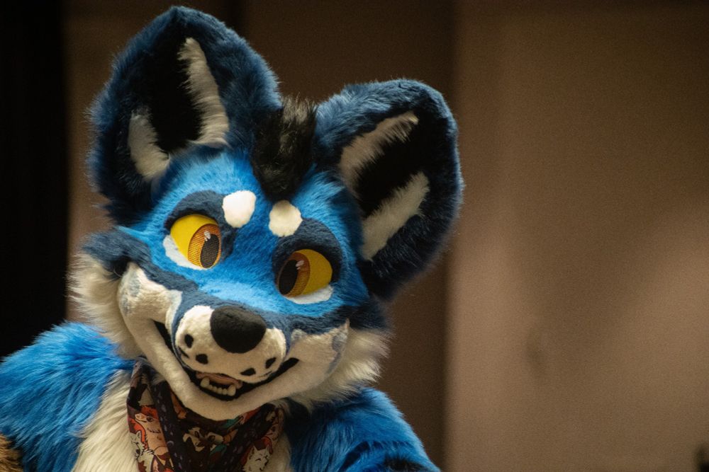 I hope I tagged the right photographer haha. Big fluffy blue fox thing is happy to see you and you are loved :)