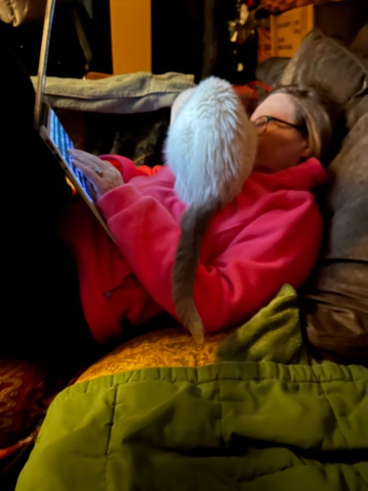 A lilac point Siamese perches on top of her person. She is facing away from the camera, her tail dangling down along the woman's arm. The woman is trying to use her laptop, but poody isn't having it.