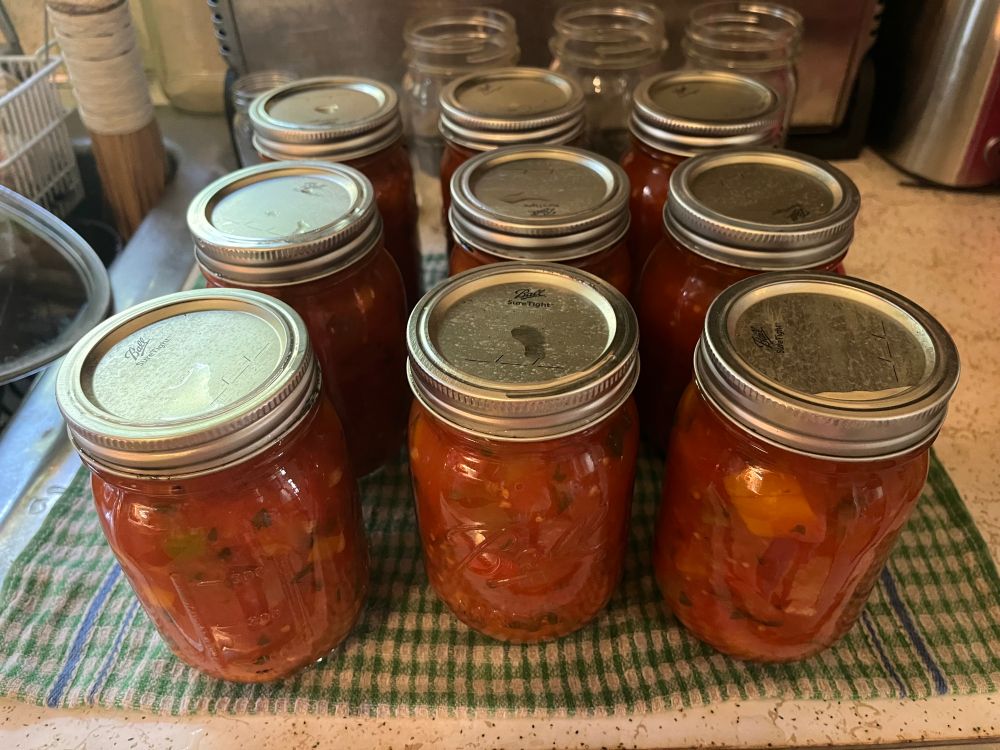 Nine finished canned jars of salsa sit on a green/white checked towel on a kitchen counter. They were just removed from the canner and are cooling.