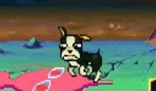 Iggy's sprite after being hit by Alessi's stand 