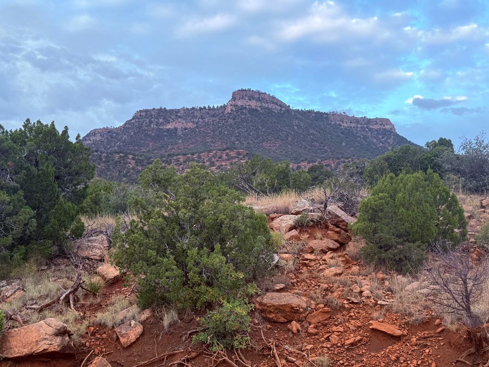 Yellow and red rock mesa in New Mexico covered with piñon/juniper forest
