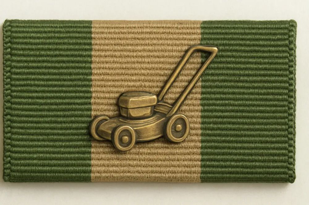 D.C. campaign ribbon 