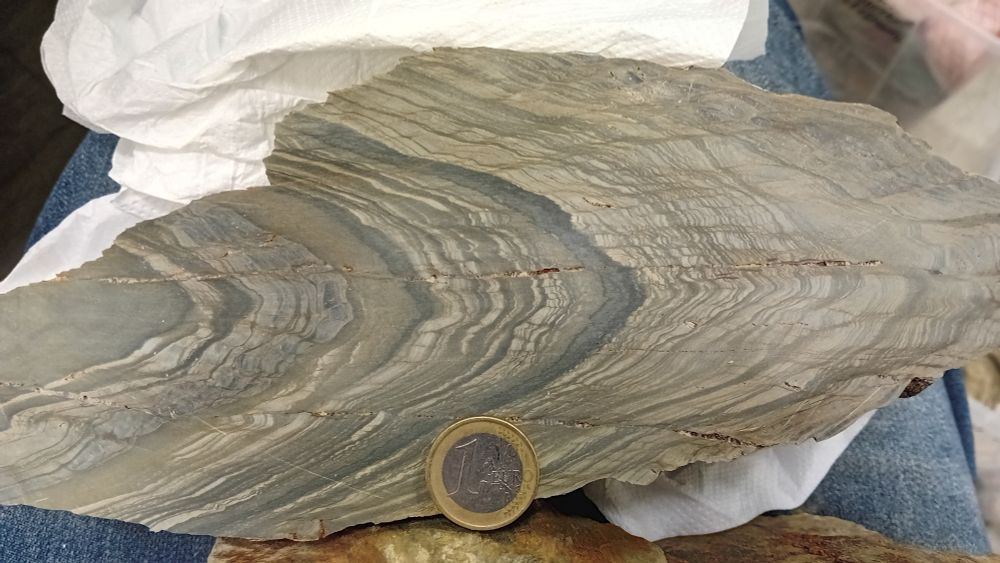 Folded phyllites (a type of rock)