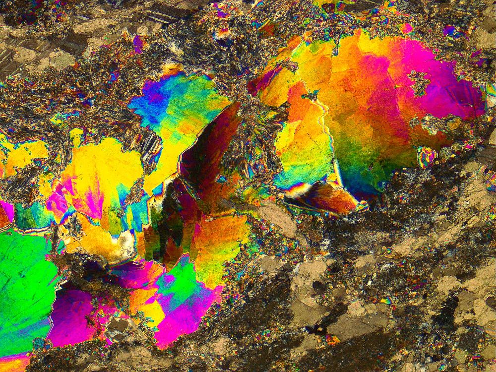 White mica crystals in marble in thin section