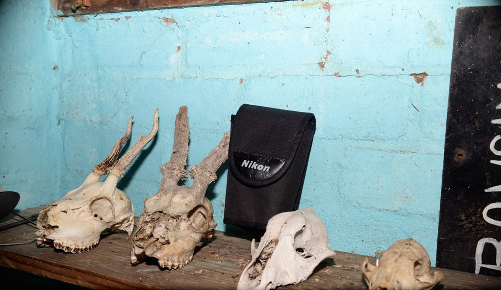 Found in Bawsinch Nature Reserve: Soft Pouch for Nikon Binoculars. Case has been put in the Big Hide on the shelf beside the deer skulls. 