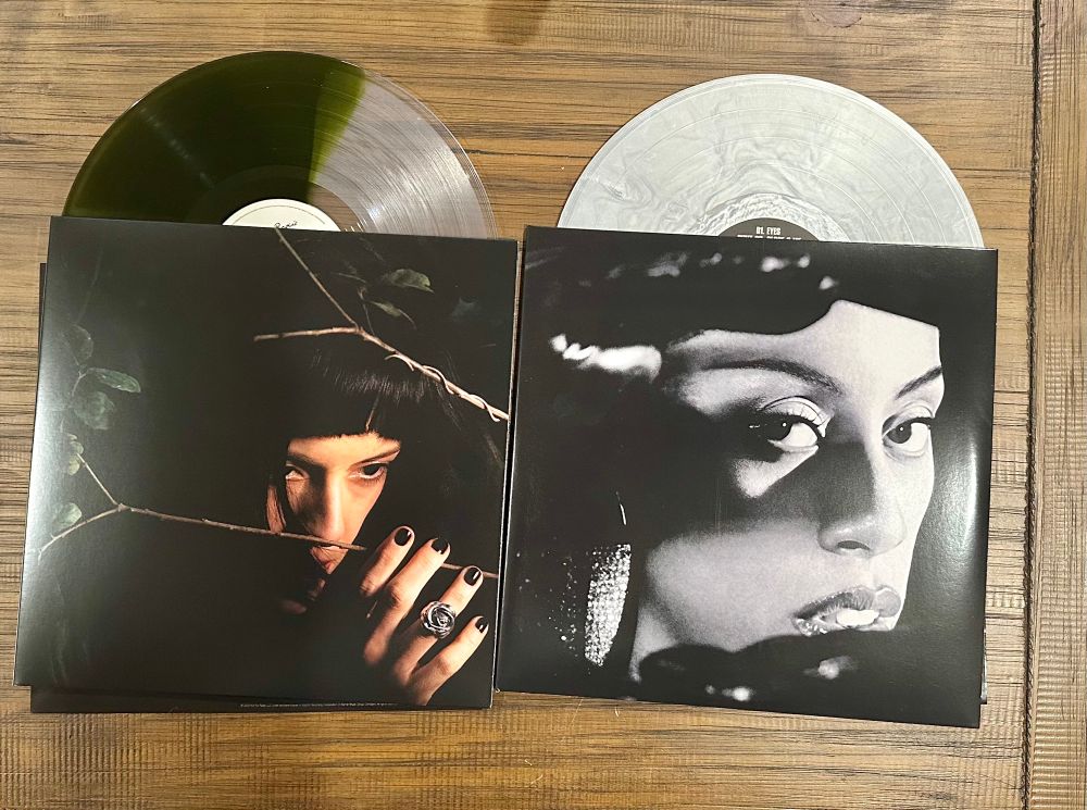 Two vinyl records side by side, on the left “Melt” by Not For Radio and “Through the Wall” by Rochelle Jordan