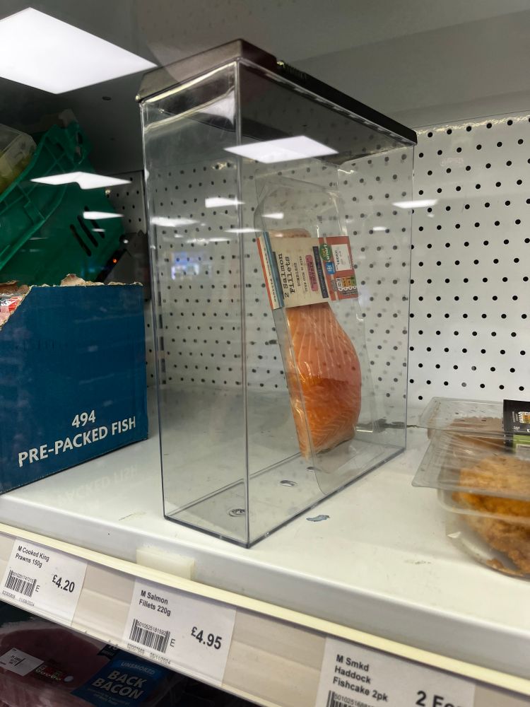 A photograph of a salmon in a clear plastic box on a shelf in a grocery store