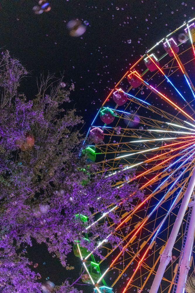 A photograph of a tree in the foreground, a very lit up, colorful farris wheel in the background, and bubbles floating everywhere.