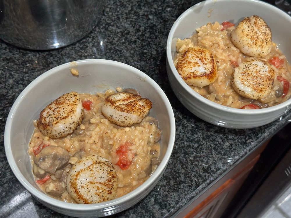 Two bowls of risotto with tomatoes and mushrooms visible.  Each bowl is topped with three perfectly cooked scallops 