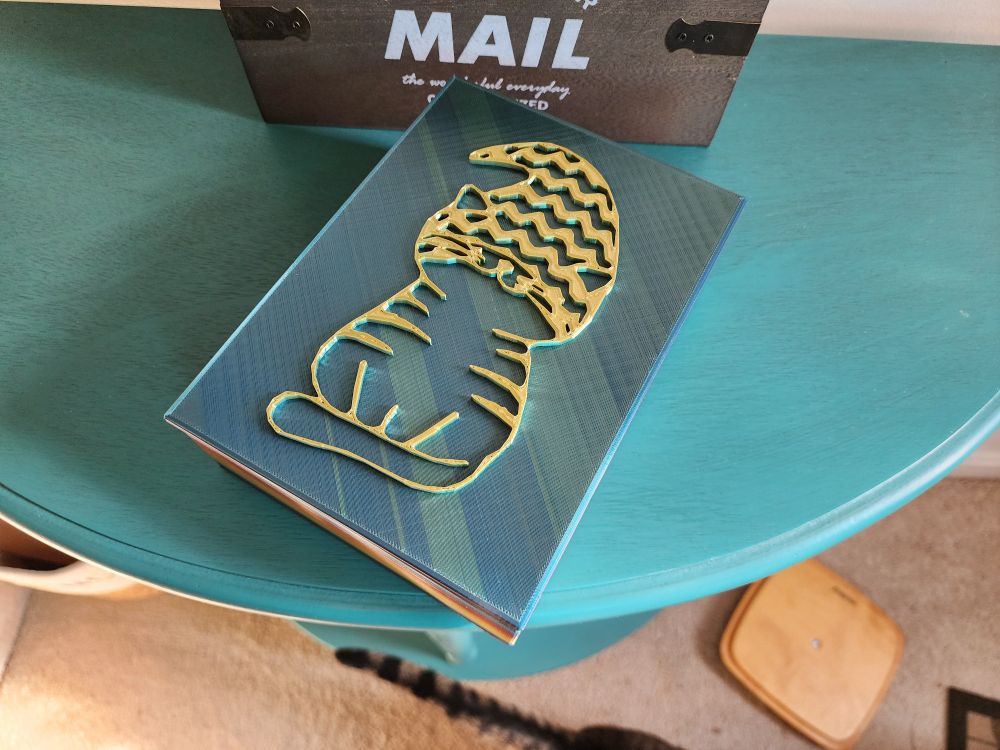 A 3d printed box, about 20 by 15 cm with an embossed cartoon image of a cat wearing a gnome hat.