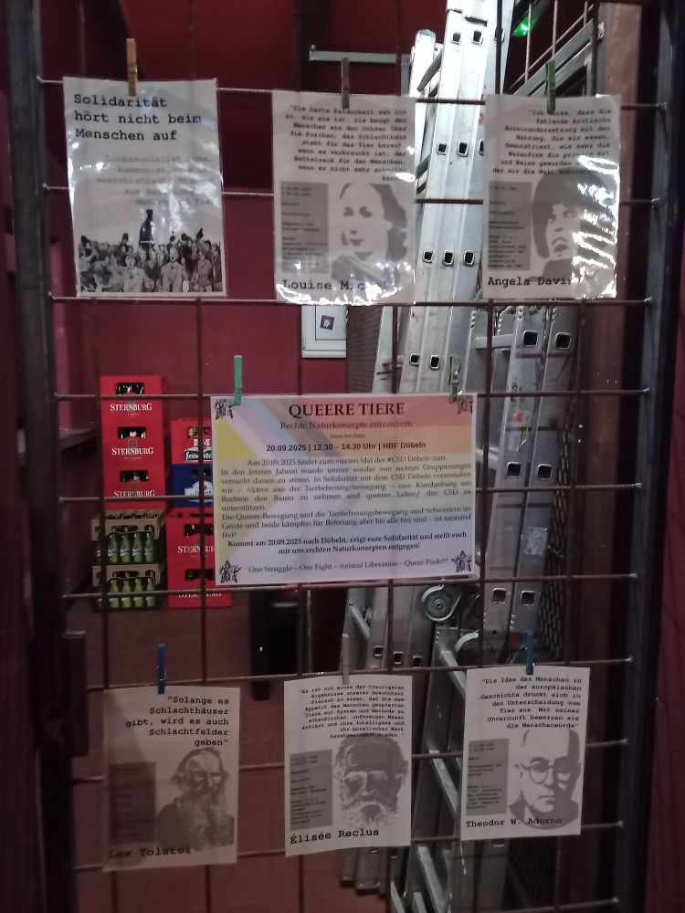 Mehrere Ausstellungstafeln zum Thema linke Geschichte der Tierfrage und ein save the Date Poster für den CSD in Döbeln.