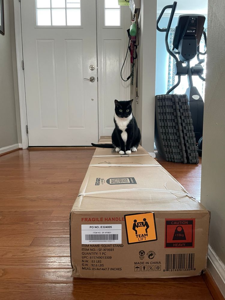 A cat sits on a box with a “heavy” and “team lift” warning.