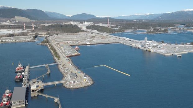 Carney wants to fast-track LNG expansion in B.C., but can Canadian natural gas compete globally? - EUROPE SAYS