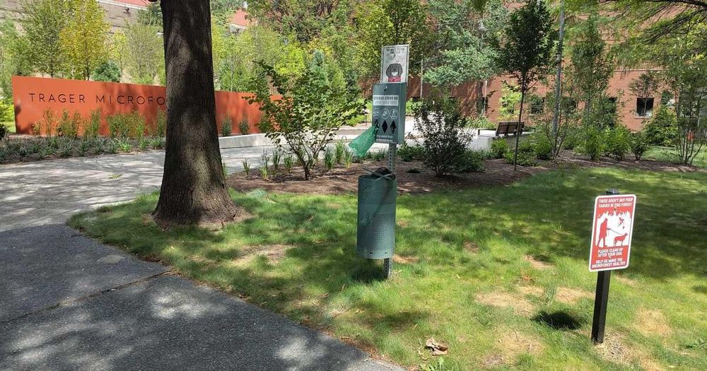 Hundreds of biohazardous waste removals highlight lack of public amenities.