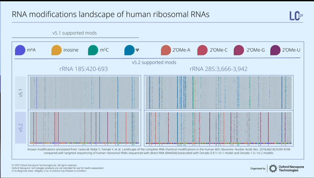 image showing RNA modification landscape of human ribosomal RNAs for 18S and 28S rRNA; patterns of different modifications are shown throughout the entirety of the sequence. A validation of synthetic constructs demonstrates RNA modification detection accuracies of 95-99%.