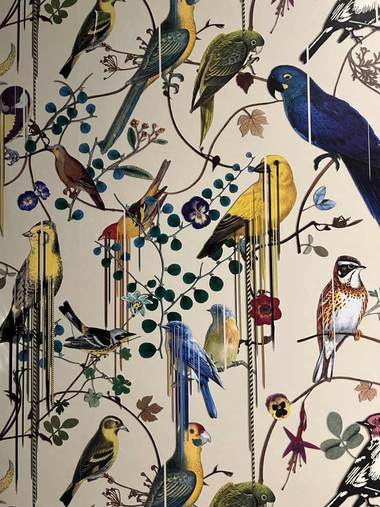 Pictures of various birds on branches with light background. There are vertical stripes running down from the birds. 