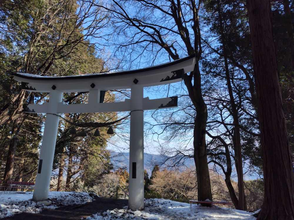 頂上にある神社。ふもとにある大きな宝登山神社の別館的な（奥宮）位置づけのよう。