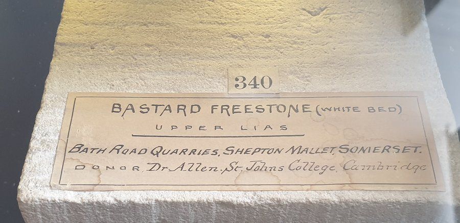 Bastard Freestone donated by Dr Allen