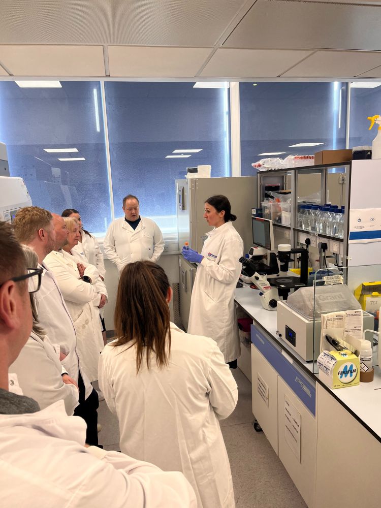 Cami is explaining how we use blood cancer cell lines to explore options for better therapy interventions. ​