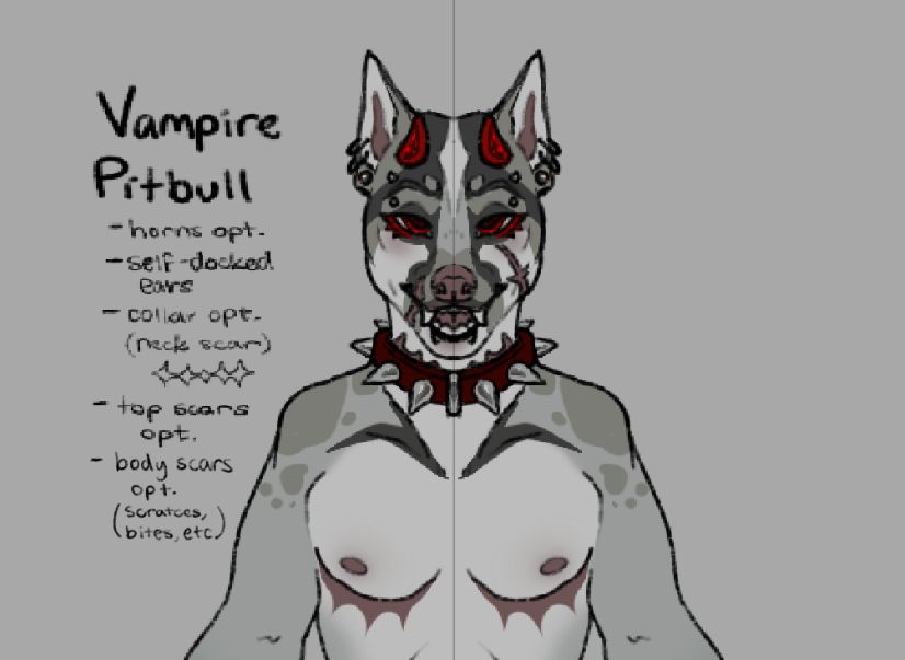 Gray anthro pitbull with red devil horns and spiked color. They have many piercings and scars, including top surgery

Writing reads “Vampire Pitbull, horns opt, self-docked ears, collar opt (neck scar), top scars opt, body scars opt (scratches, bites, etc)