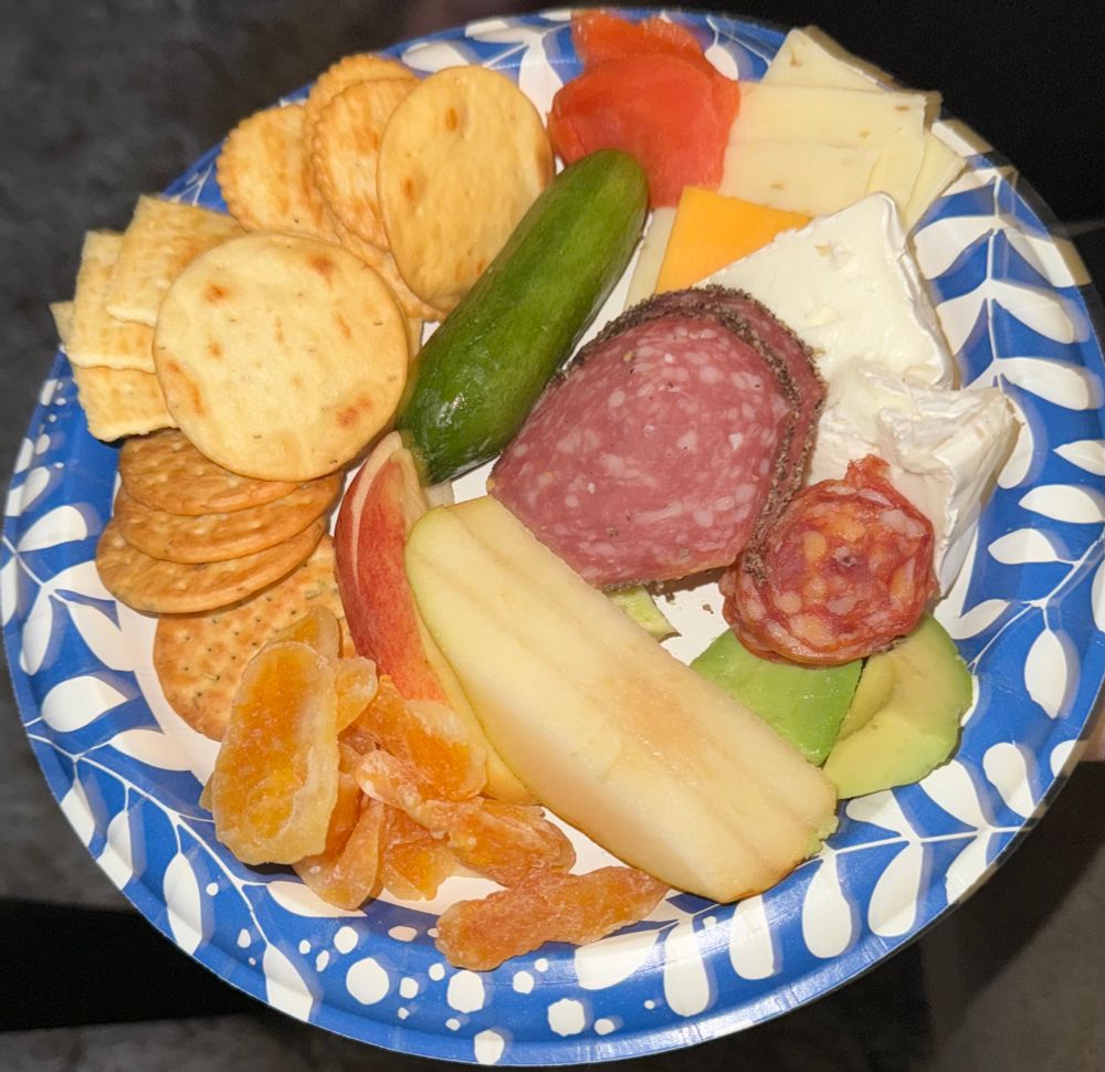Charcuterie tray items that have been plated for someone.  Has apple slices, pear slices, dried mandarin oranges, avocado slices, a mini cucumber, goat’s milk brie, cheddar & pepper jack slices, 4 kinds of crackers, 2 salamis, and smoked salmon.
