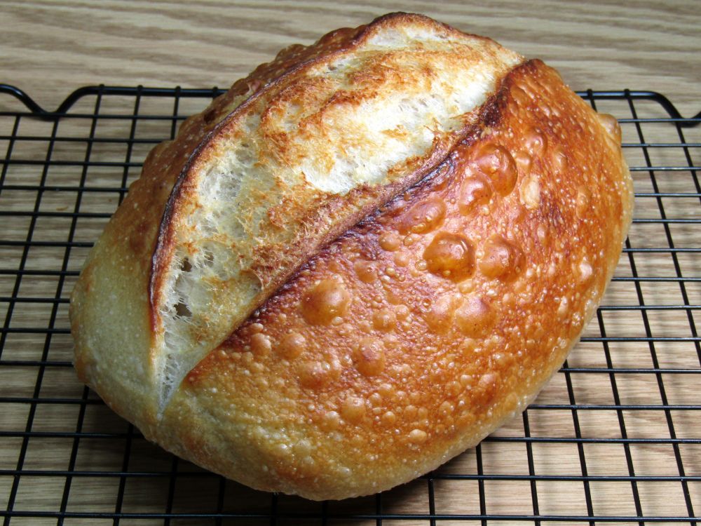 Sourdough Bread