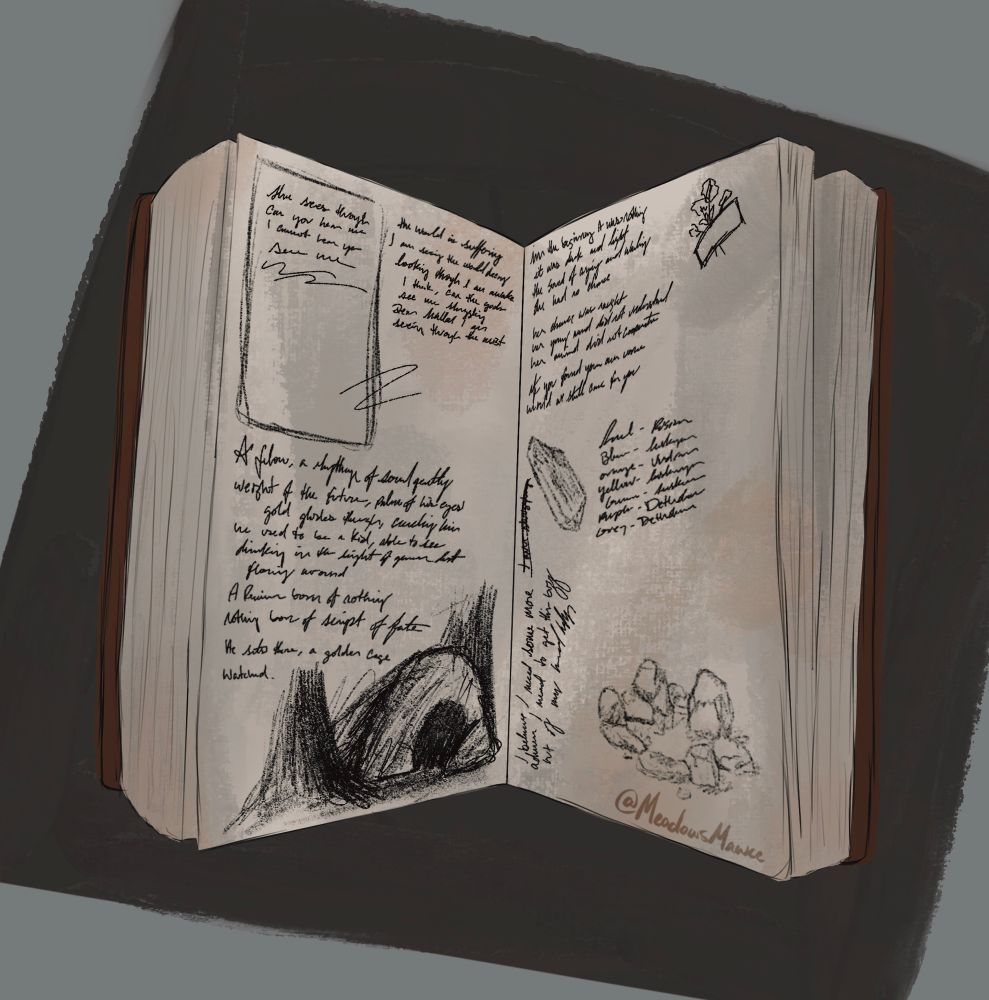 Denza's journal some translations of the journal they collected
mostly poems and drawings