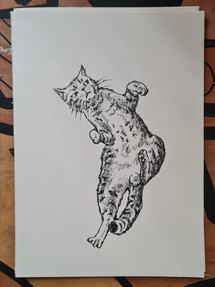 a drawing study of cat in hillarious jumping pose.
