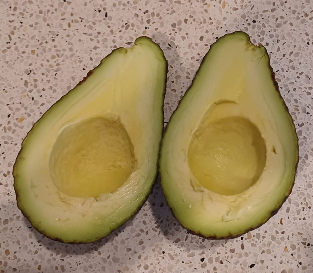 Two halves of large avocado 
