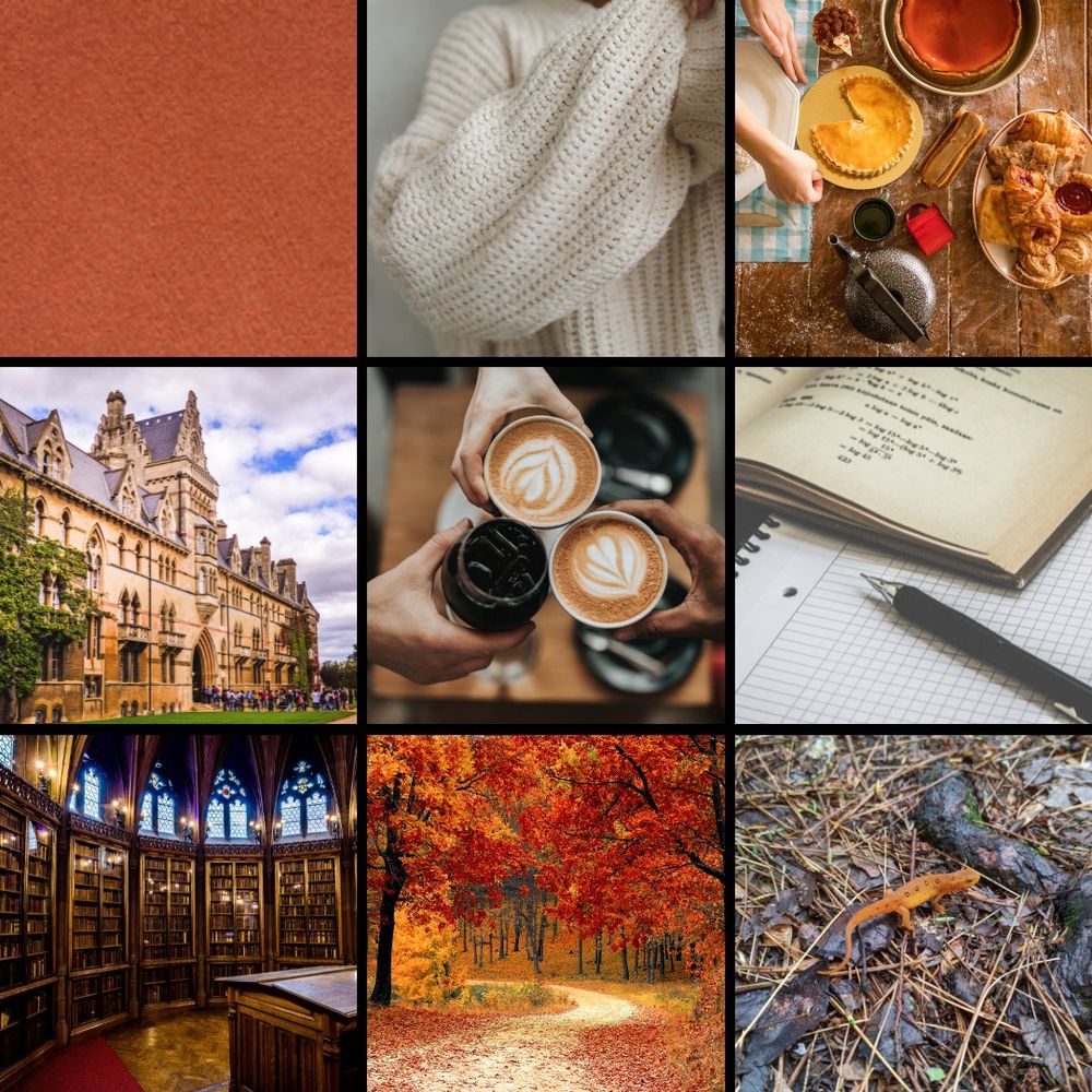 A mood board of fall and academic scenes.