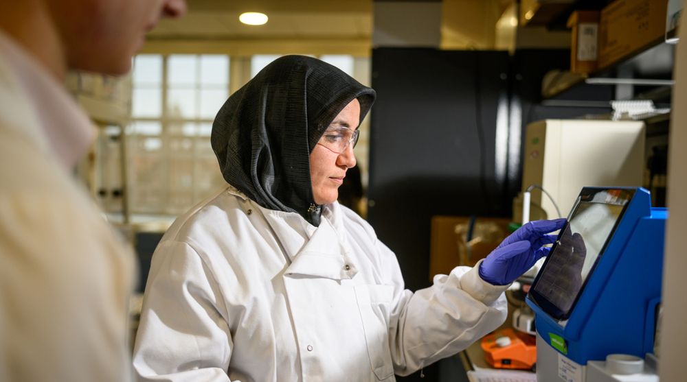 Scientist doing research in a laboratory