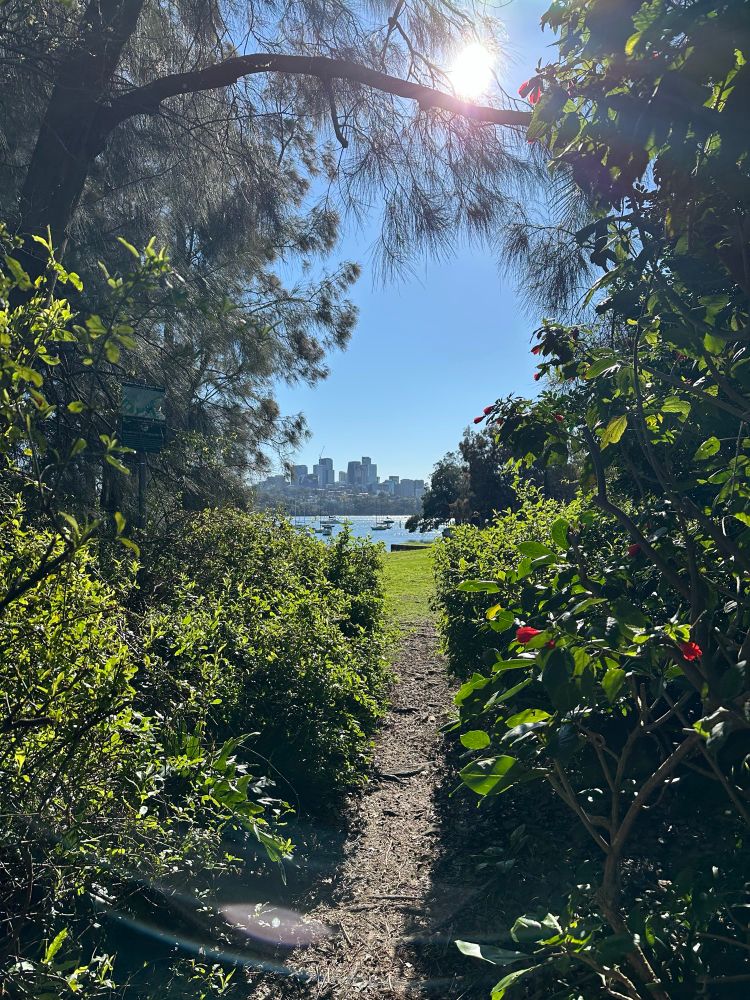 A narrow path between some bushes that leads out to a park. Beyond the park is the harbour and off in the distance some tall buildings 