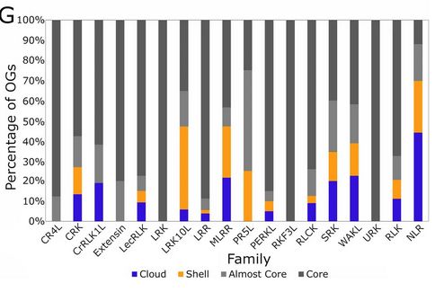 Graph showing the percentage of orthogroups from each receptor-like kinase sub-family that is present in the core, almost core, shell, and cloud genomes. The NLRs show the highest proportion of shell/cloud OGs, but the LRK10Ls and MLRRs also show high rates.