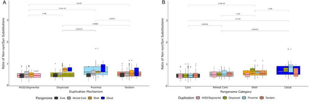 Graphs showing rates of non-synonomous to synonomous mutations in RLKs. Higher rates of NS to S mutations are associated with cloud or shell genome OGs and with OGs arising via TD or PD.