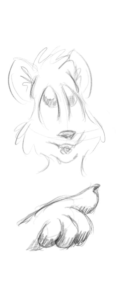 Sketches of a cat face and a pointing paw.