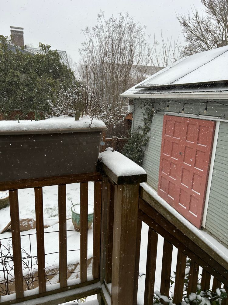 Porch and backyard with a blanket of snow and snow falling