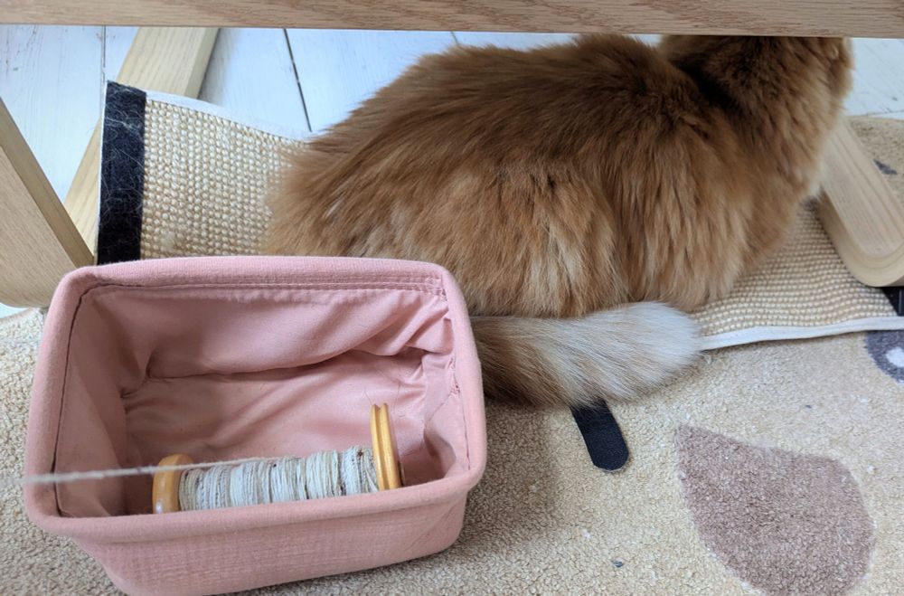 An orange long haired cat sits under a chair and nearby a spool of single ply handspun yarn as it gets used. He is very soft looking but sadly looking away from that camera because he is a cat and therefore immune to instructions.