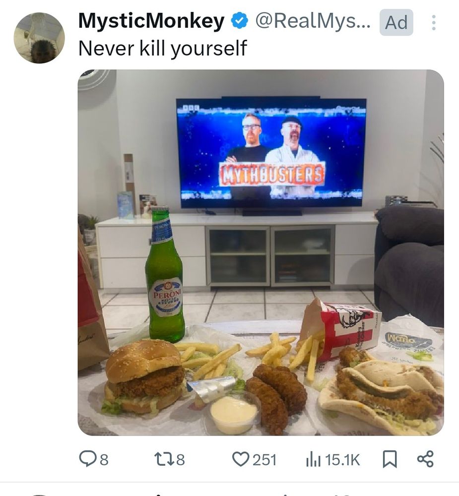 A screenshot of a sponsored tweet from someone called MysticMonkey which says "Never Kill Yourself" above a photo of a TV showing MythBusters, and a plate of fast food. Genuinely mystifying.