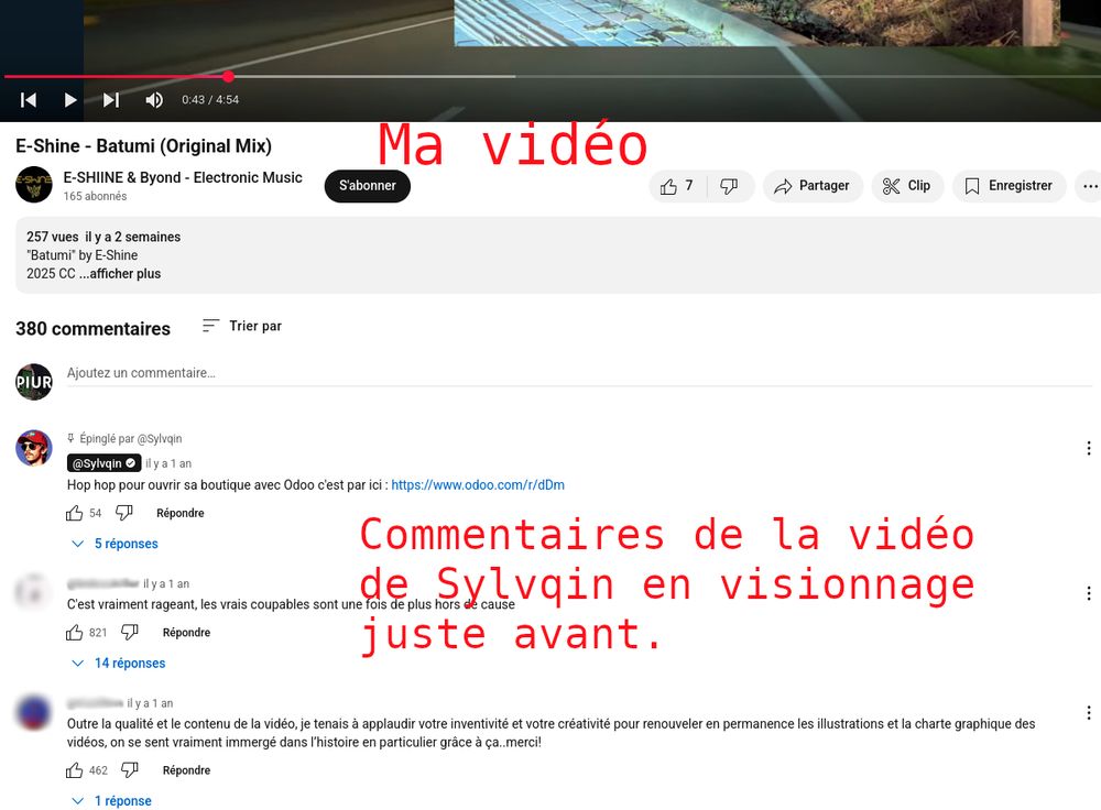 Une partie de capture d'écran d'une page Youtube sur laquelle on peut voir la vidéo en cours de visionnage ("E-Shine - Batumi (Original Mix)" de Eshineelectro) et un bug qui affiche les commentaires de la vidéo précédemment visionnée ("eBay leur fait vivre un enfer" de Sylvqin) à la place des commentaires de la vidéo en cours.