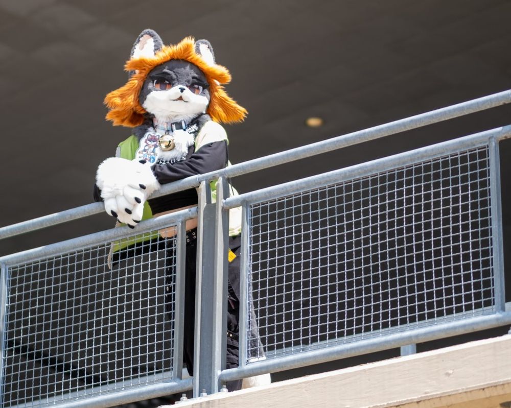 Me in my tuxedo cat fursuit, with a Gir hoodie, crop top, black Tripp pants, and Doc Martens posing on an overpass with the wind blowing my fursuit hair on the waterfront underneath the David Lawrence Convention Center