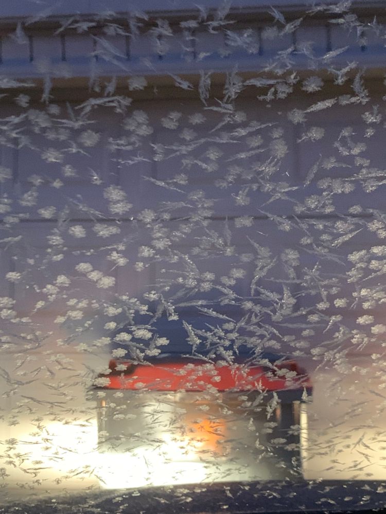 Ice flowers on my windshield
