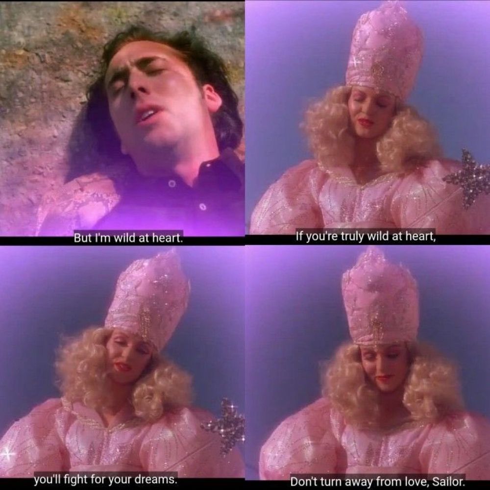 Four images with dialog of Nicolas Cage and the good witch from Wild at Heart