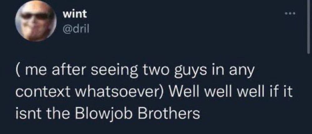 Dril tweet: ( me after seeing two guys in any context whatsoever) Well well well if it isnt the Blowjob Brothers