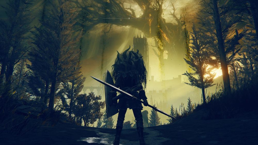 Character looking from afar at the Scadutree 